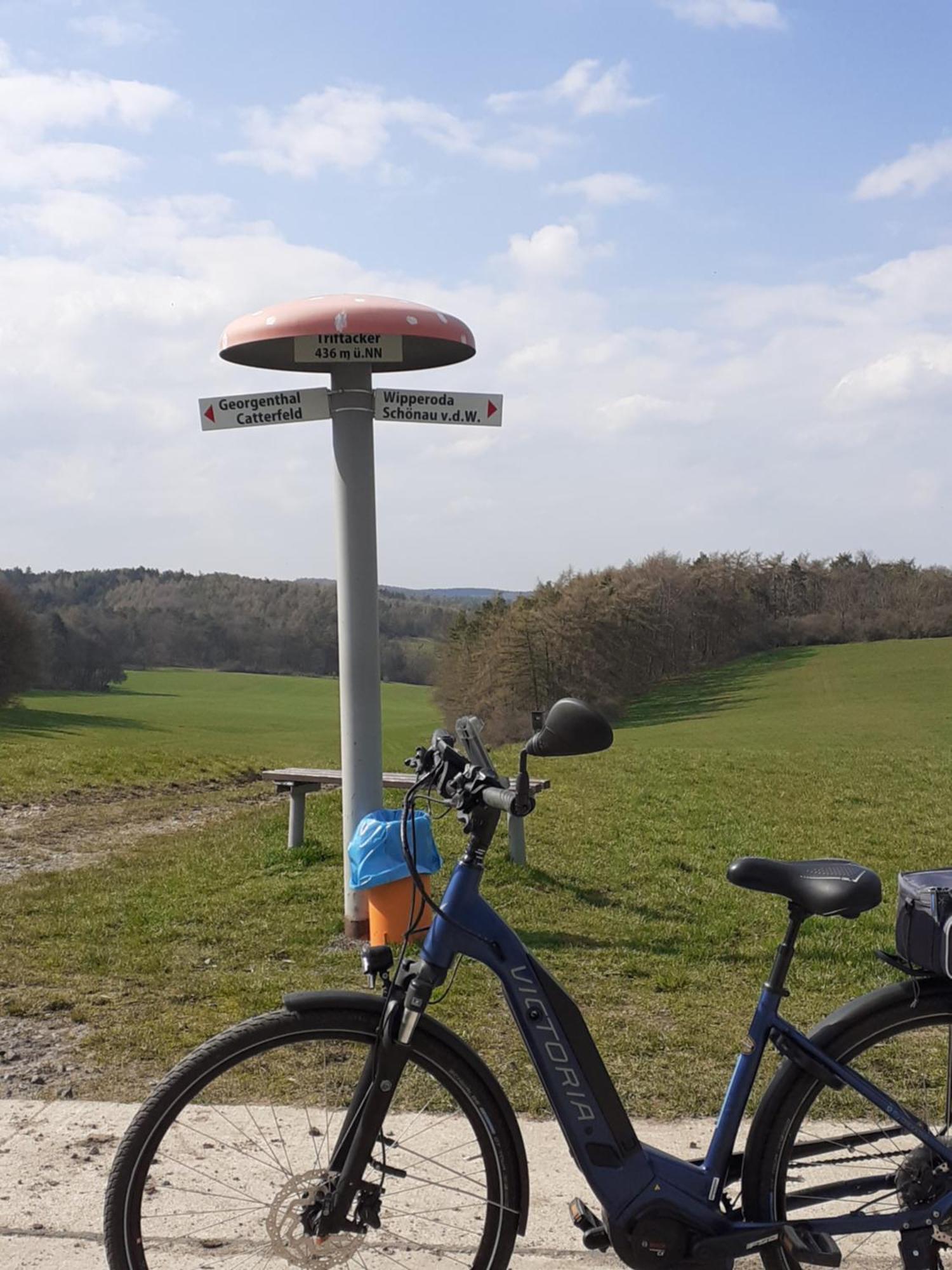 Ferienwohnung Am Wald Catterfeld Esterno foto